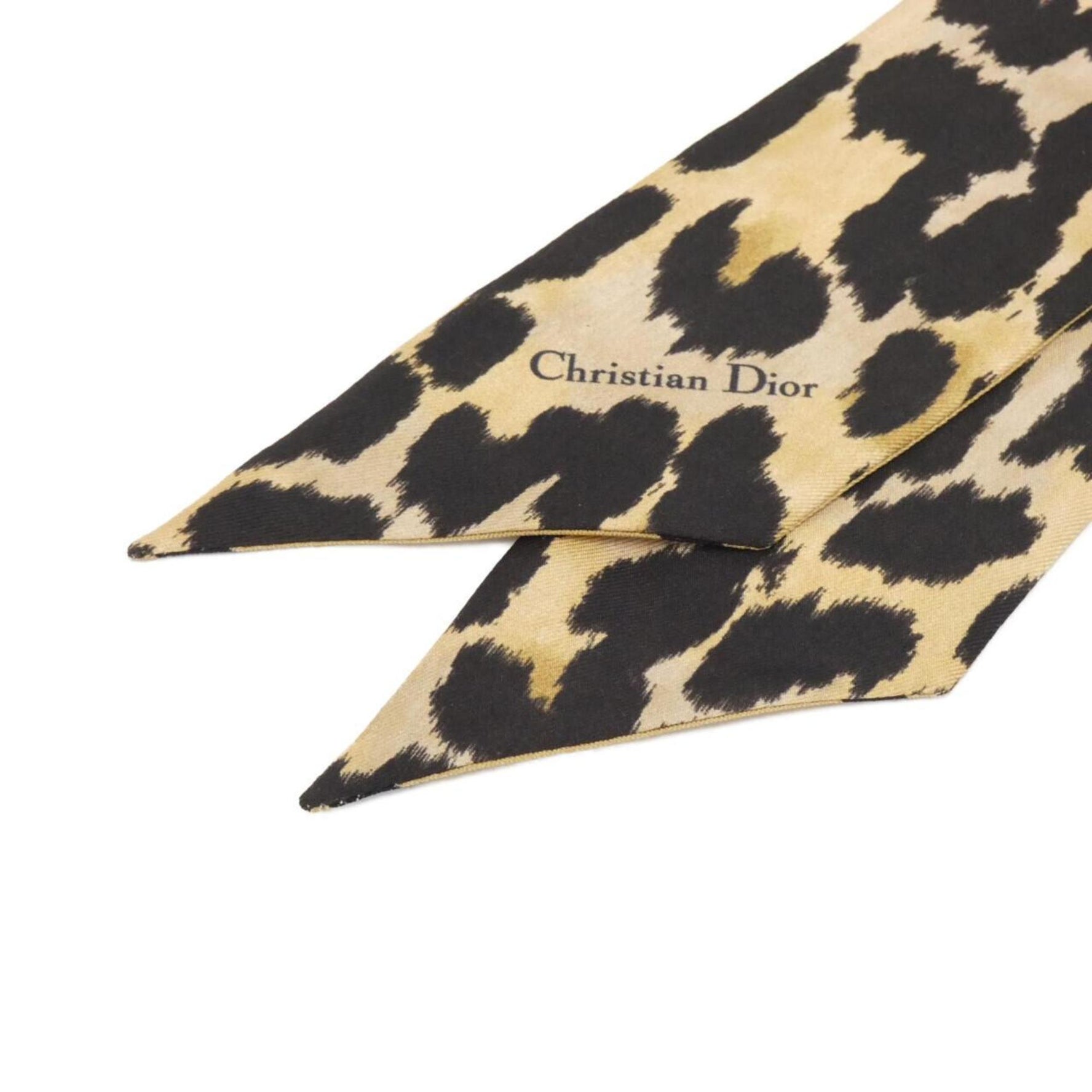 Christian Dior Scarf