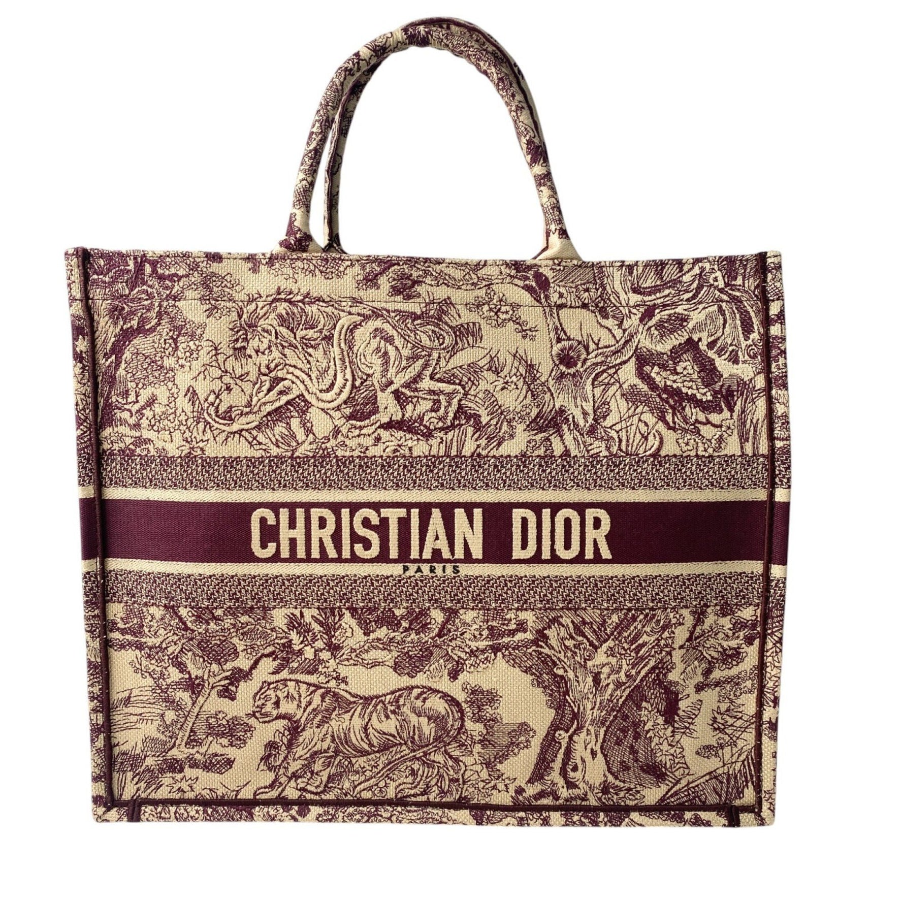 Christian Dior Dior Book Tote Bag
