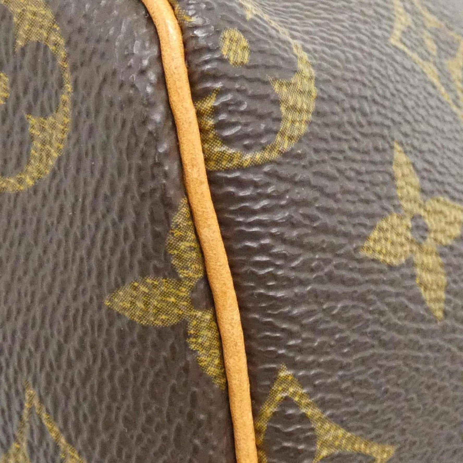 Louis Vuitton Monogram Speedy Handbag