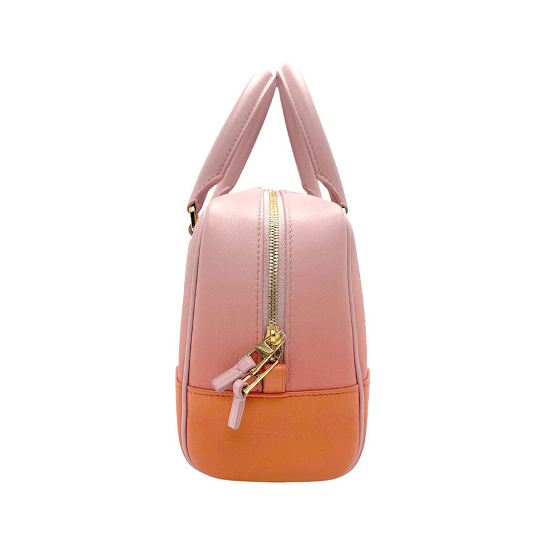 LOEWE Amazona 23 Handbag Leather Dark Coral Leaf x Dahlia