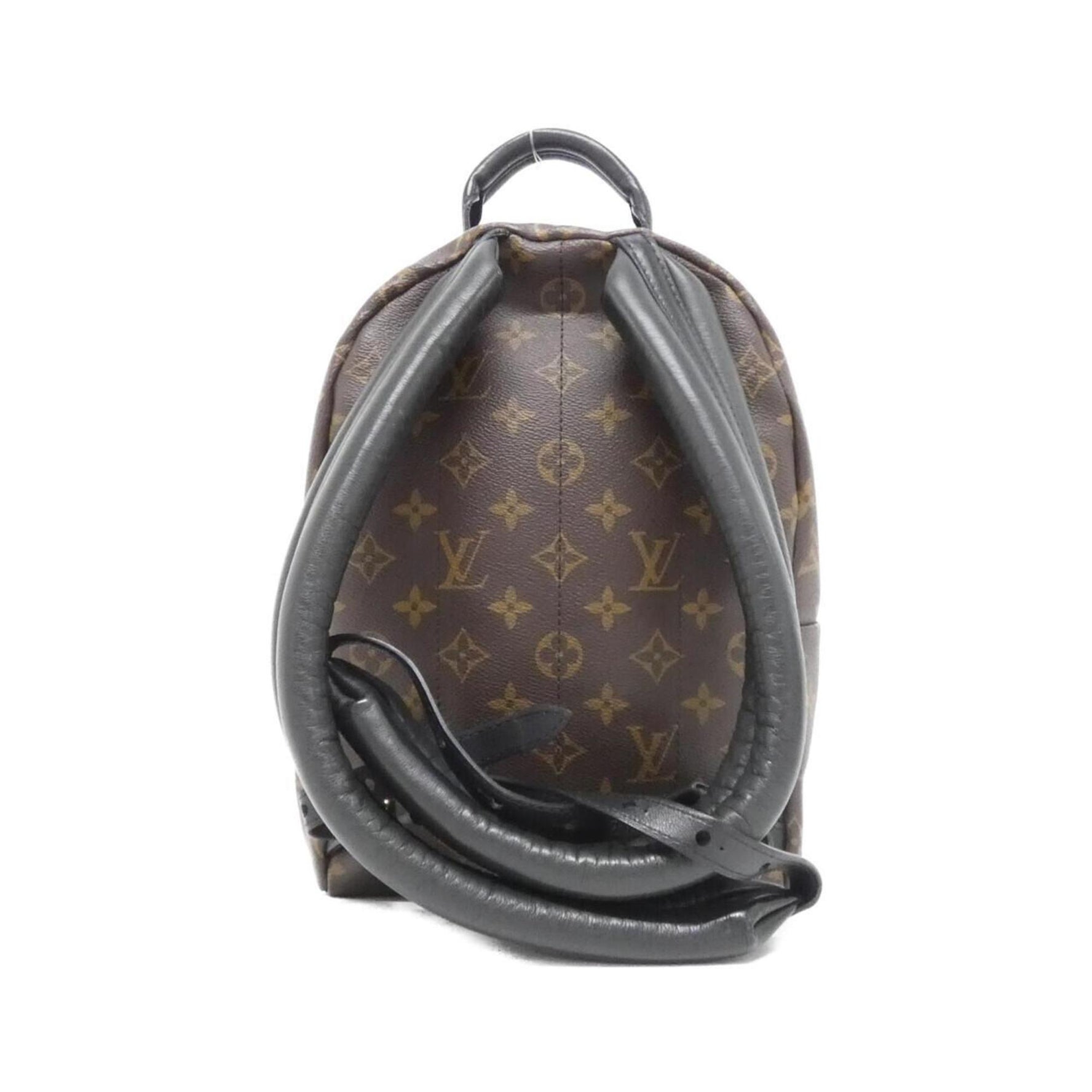 Louis Vuitton Monogram Palm Springs Backpack PM Rucksack