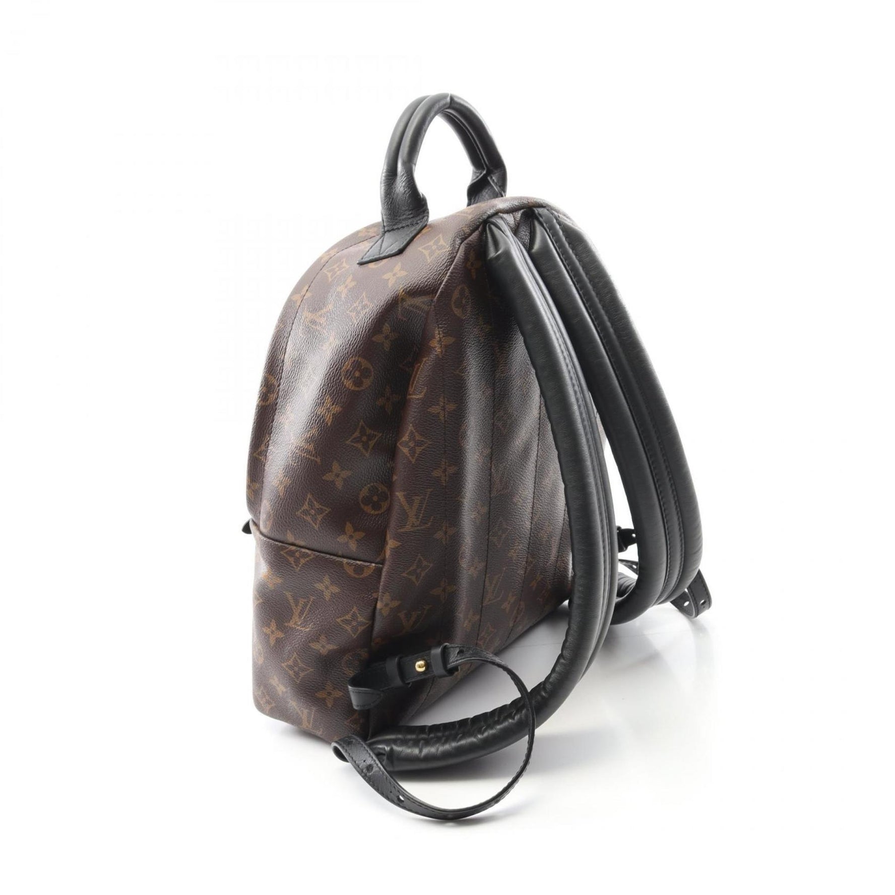 Louis Vuitton Palm Springs Backpack MM, Coated Canvas and Leather Monogram