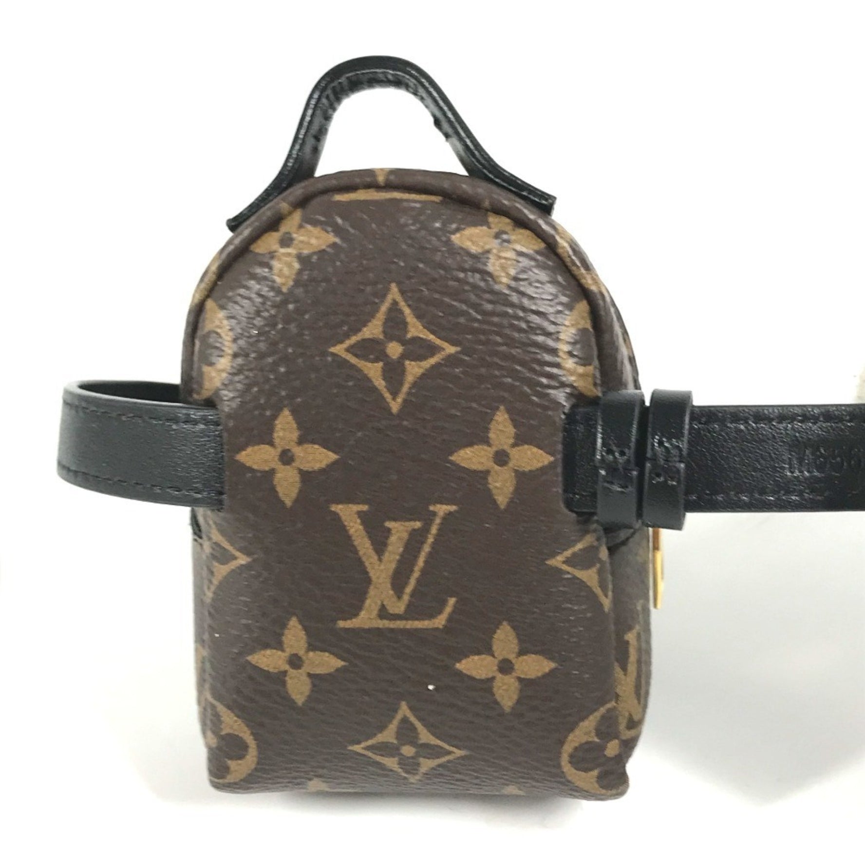 Louis Vuitton Monogram Bracelet Party Palm Springs Backpack Accessories Canvas