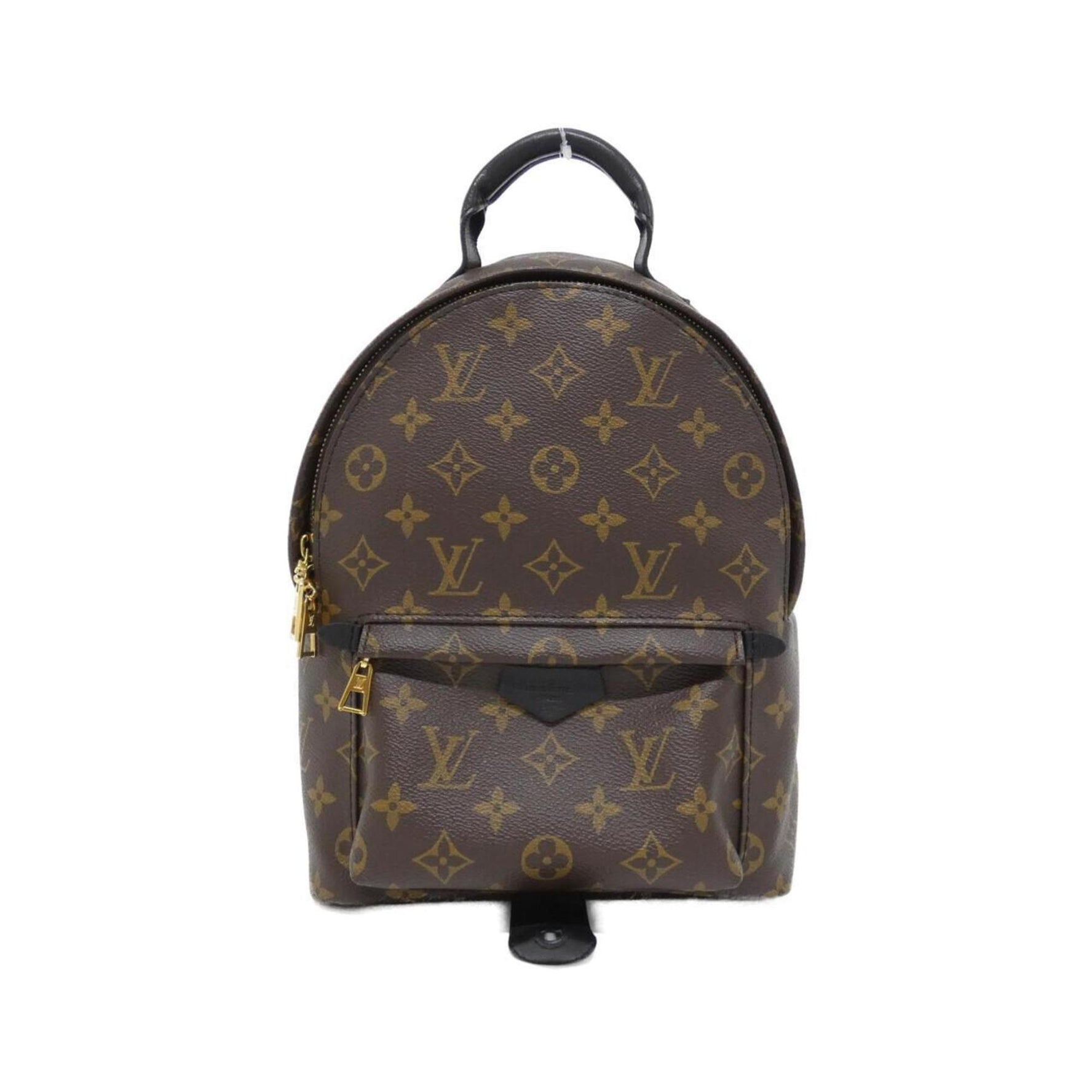 Louis Vuitton Monogram Palm Springs Backpack PM Rucksack