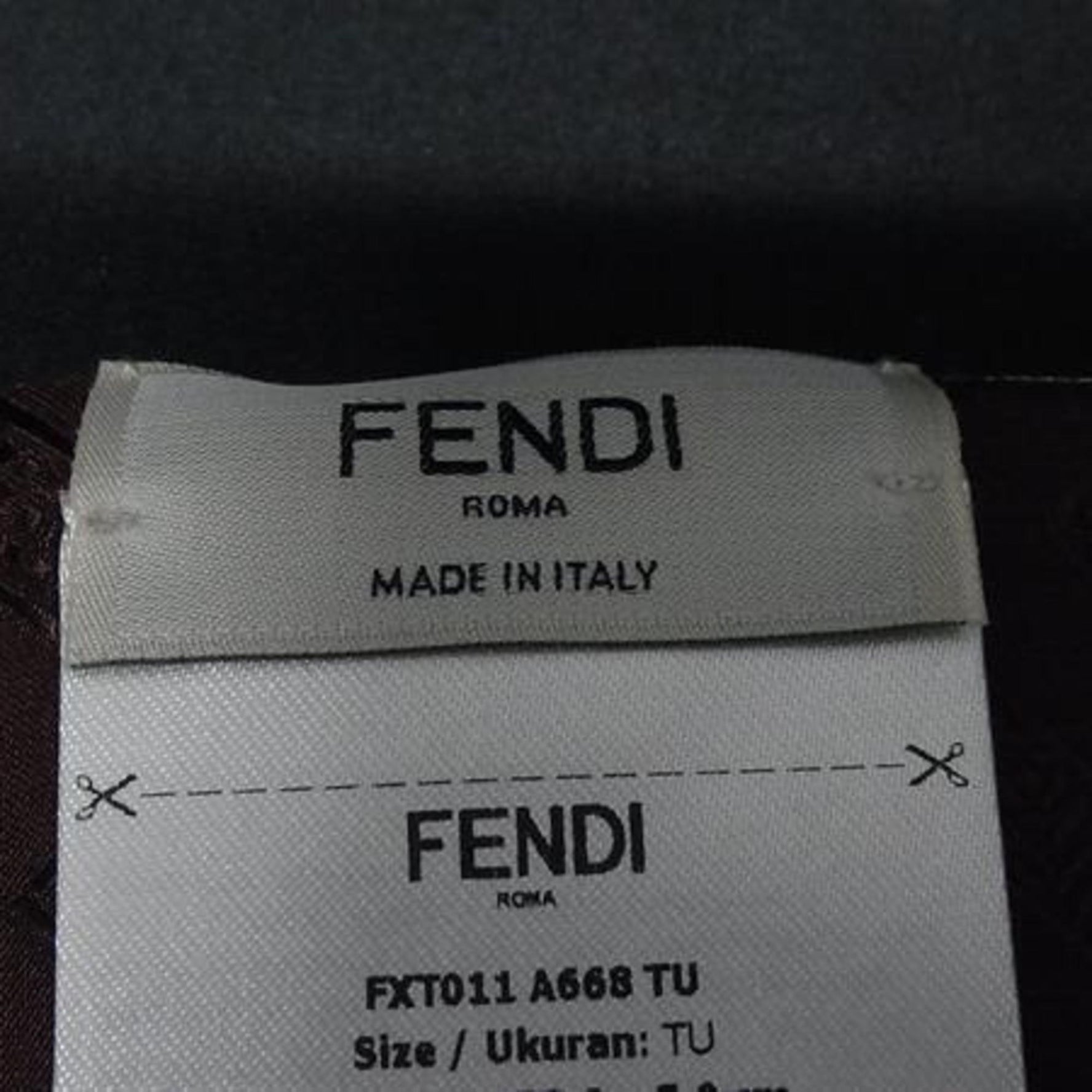 FENDI Rappy Silk Zucca Print Ribbon Scarf in