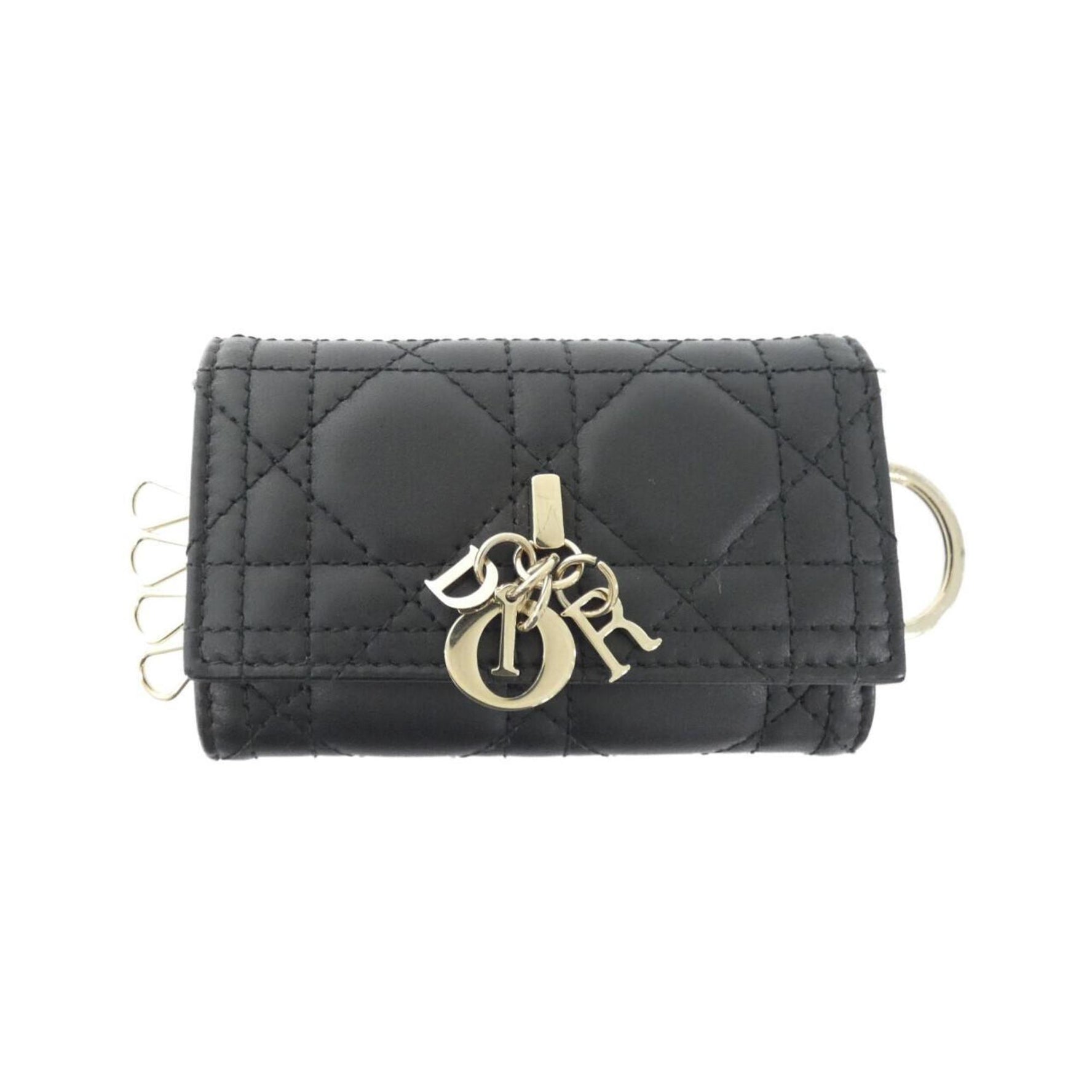 Christian Dior My Astor Key Case
