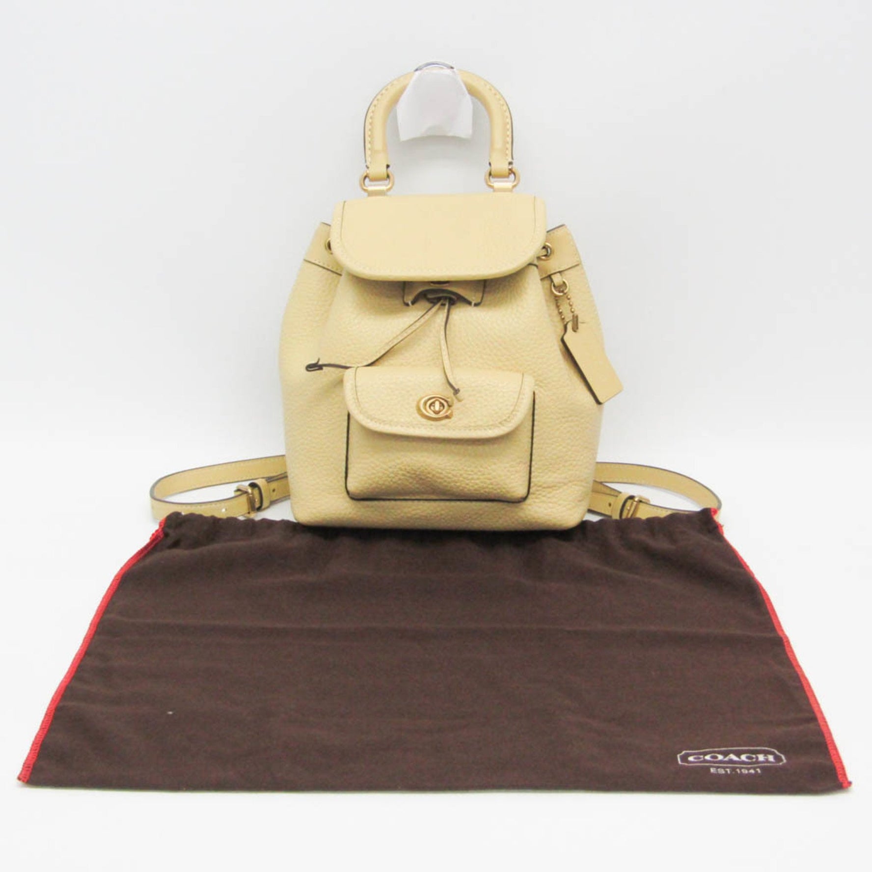 Coach Leah Backpack 21 Leather Backpack
