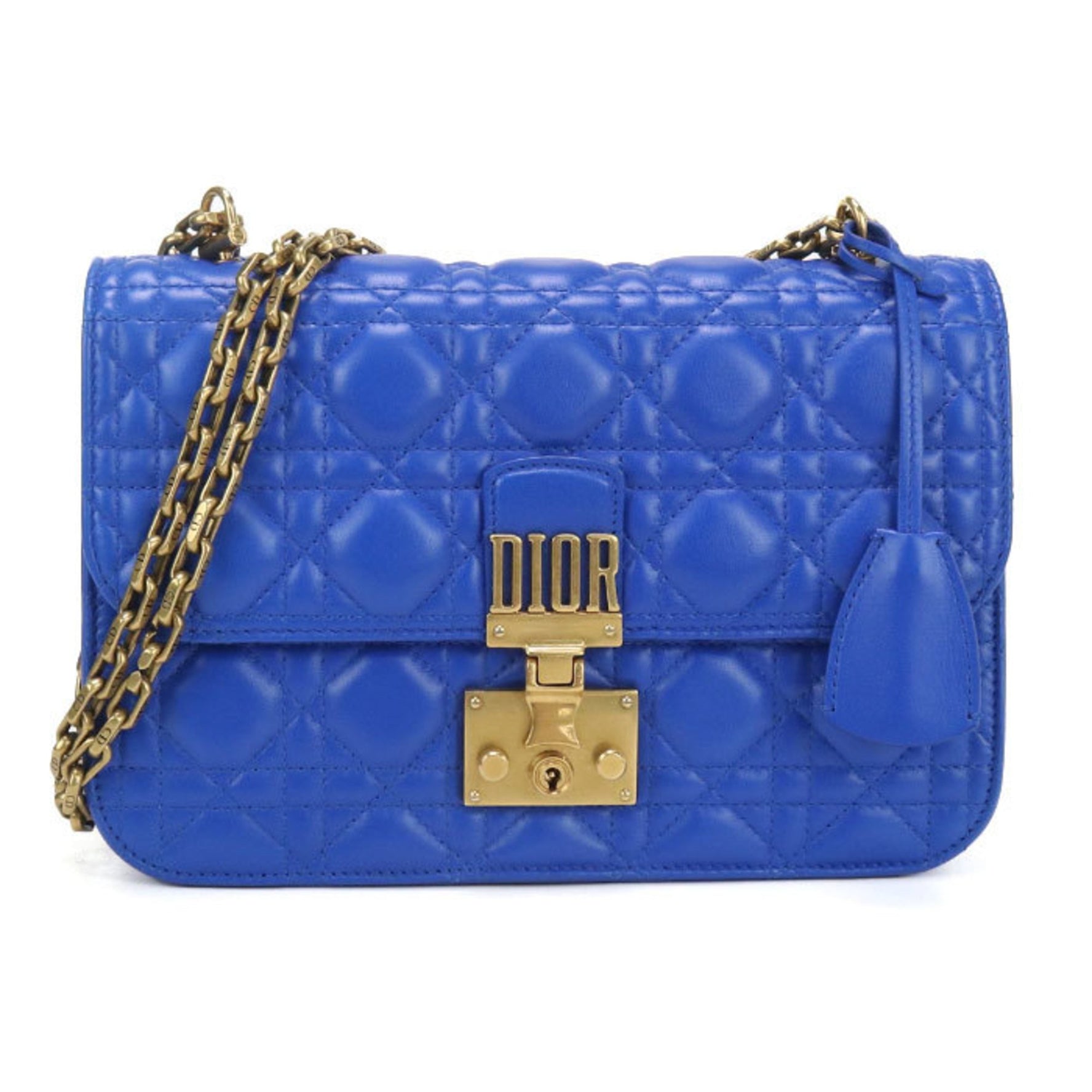 Christian Dior DIOR Dior Chain Addict Shoulder Bag