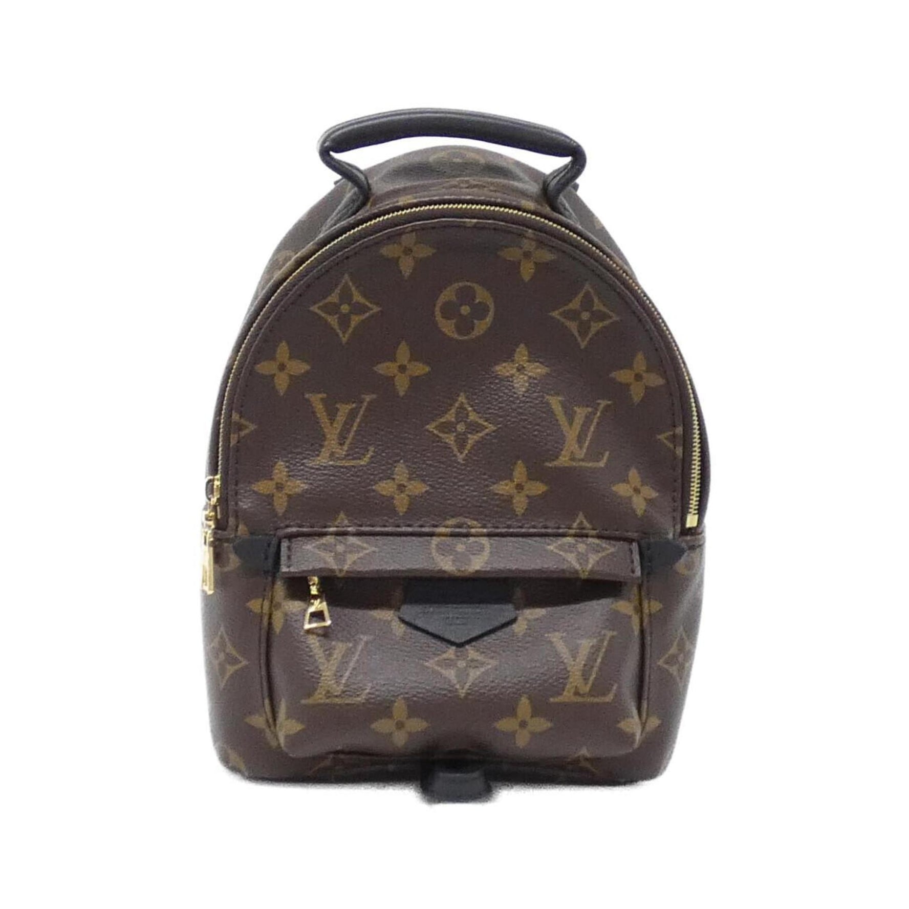 Louis Vuitton Monogram Palm Springs Backpack Mini