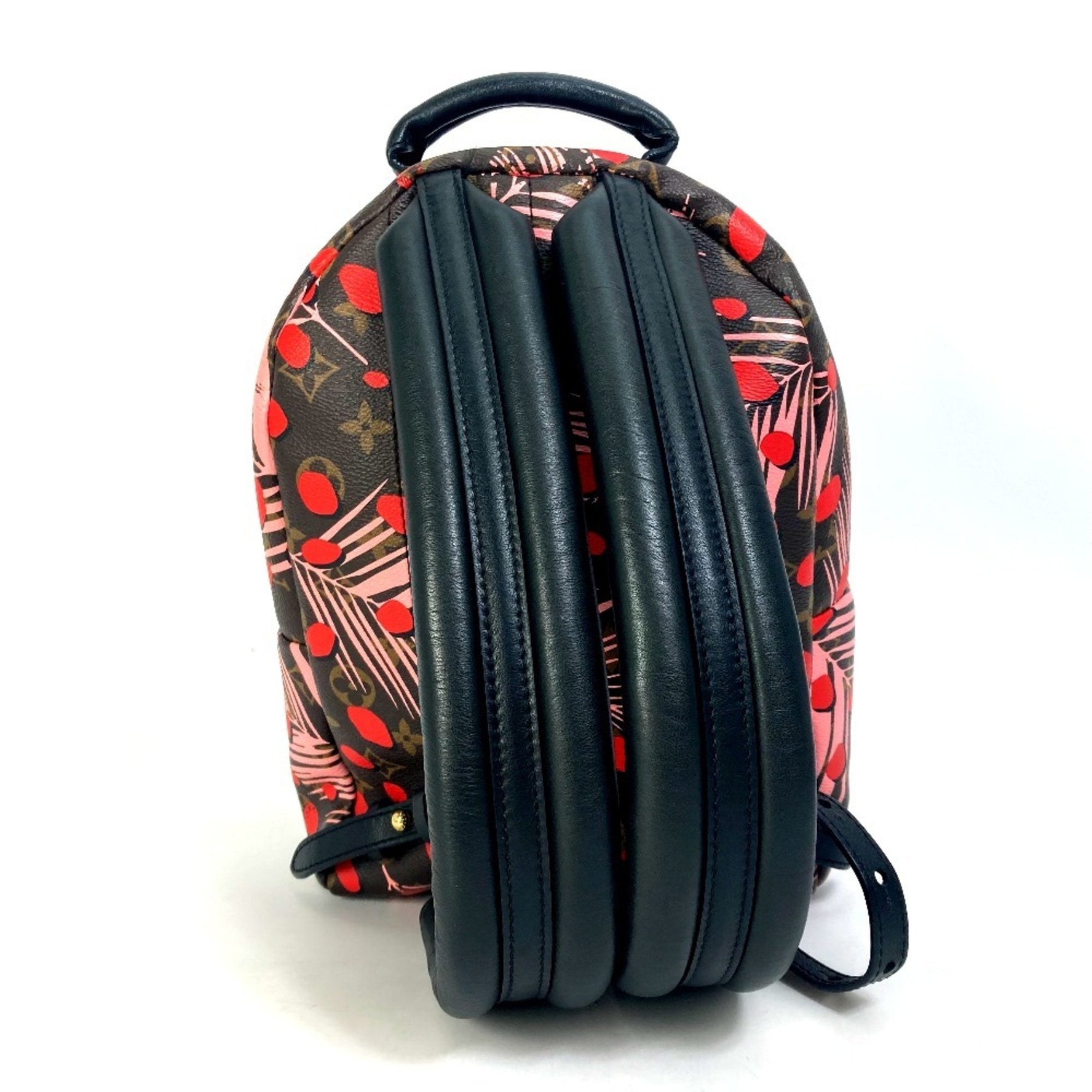Louis Vuitton Monogram Palm Springs PM Jungle Dot Backpack in Canvas, Brown, Pink, and Red