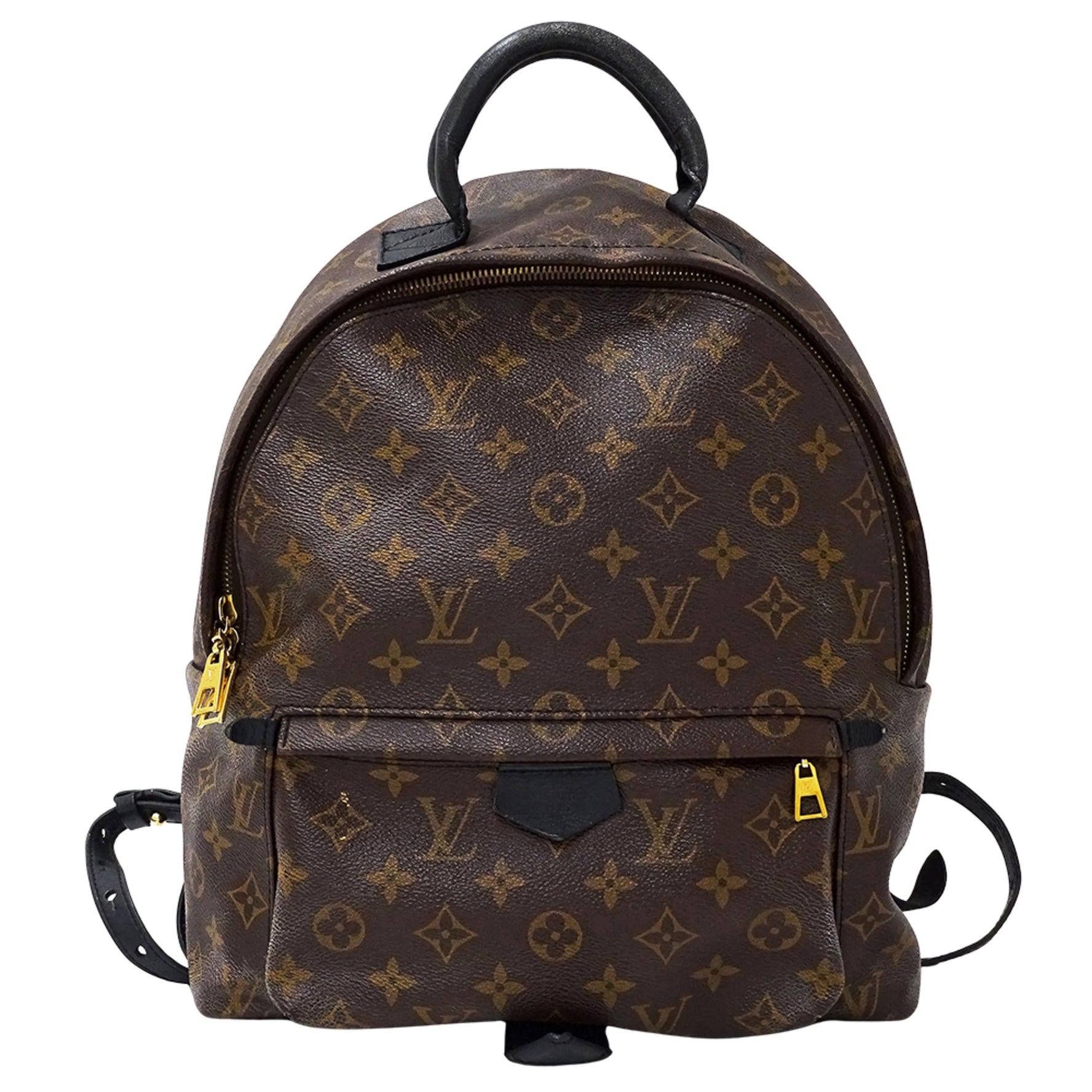 Louis Vuitton Monogram Palm Springs Backpack MM Brown