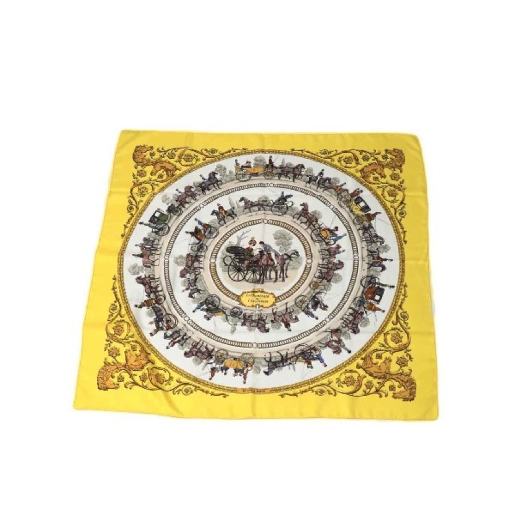 HERMES SPRINGS Scarf