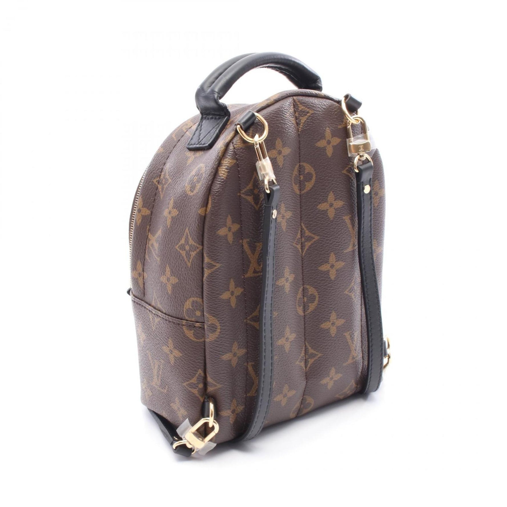 Louis Vuitton Palm Springs Mini Backpack, PVC-Coated Canvas and Leather Monogram, Brown/Black