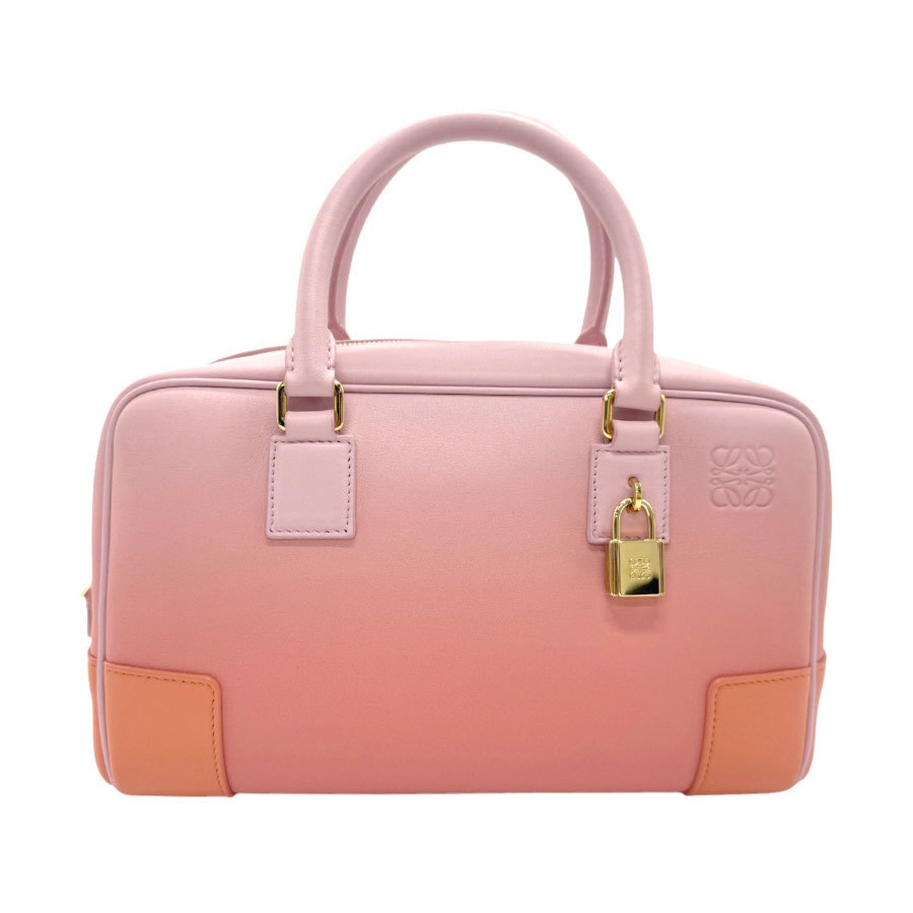 LOEWE Amazona 23 Handbag Leather Dark Coral Leaf x Dahlia