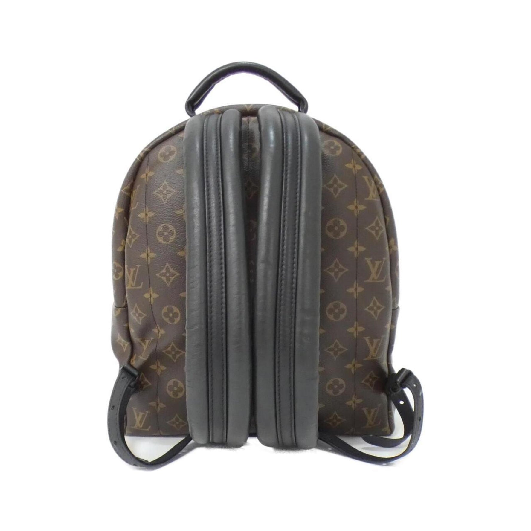 Louis Vuitton Monogram Palm Springs Backpack