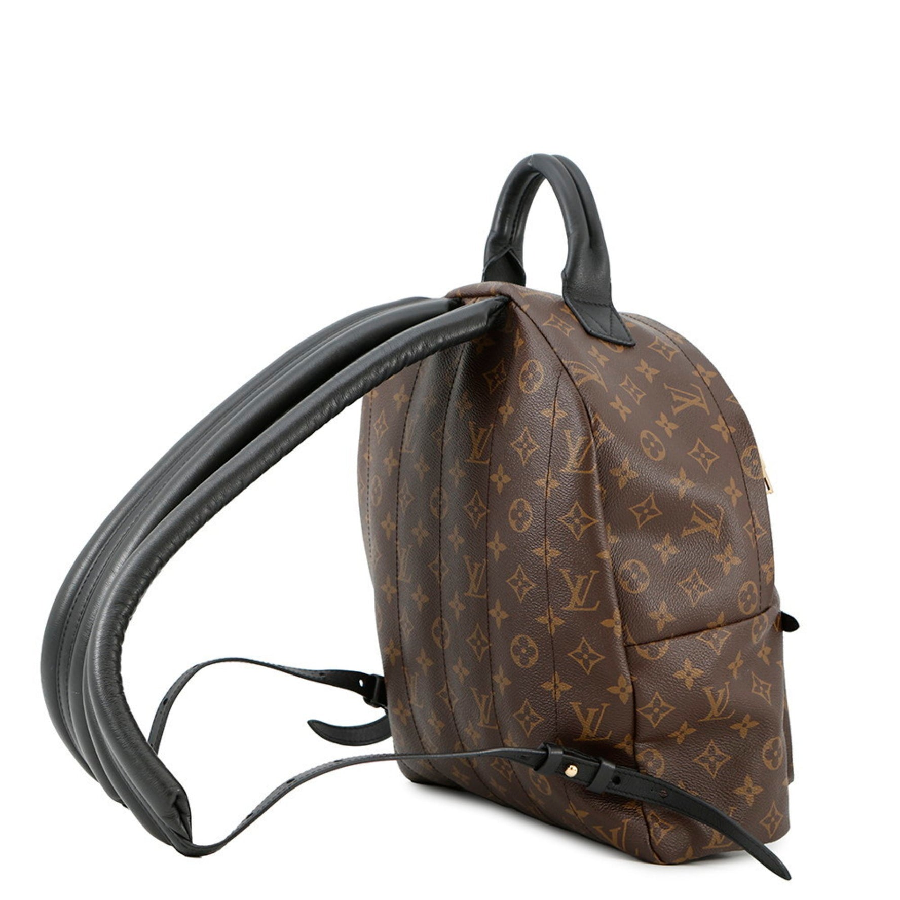 Louis Vuitton Monogram Palm Springs Backpack MM LOUIS VUITTON Bag