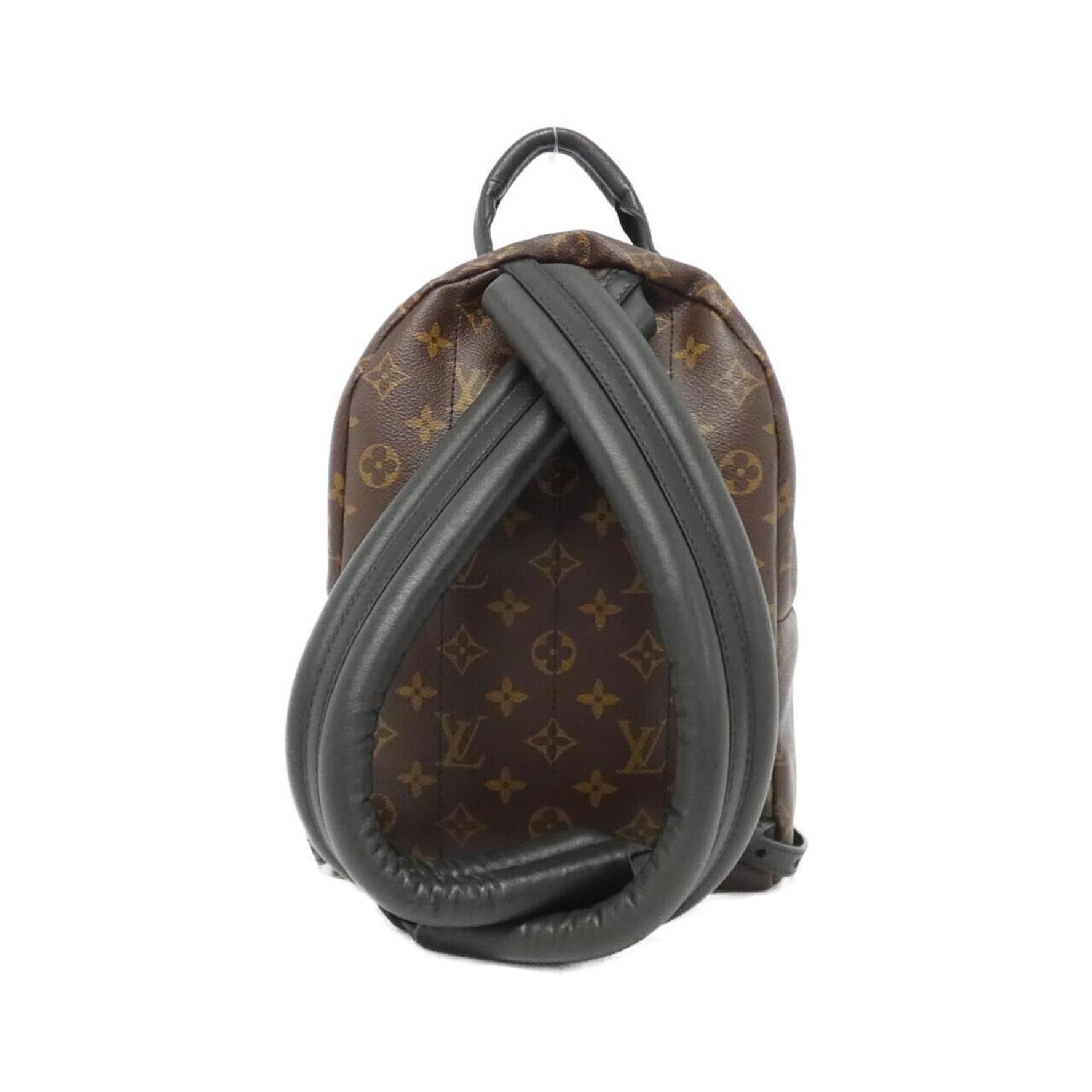 Louis Vuitton Monogram Palm Springs Backpack PM Rucksack