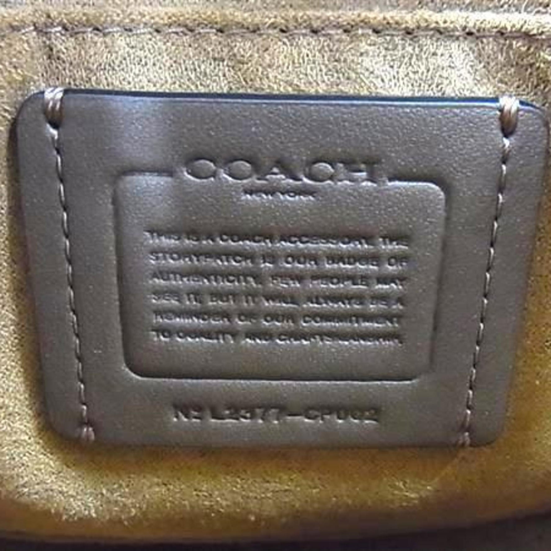 COACH Amelia Small Saddle Bag in Soft Pebble Leather