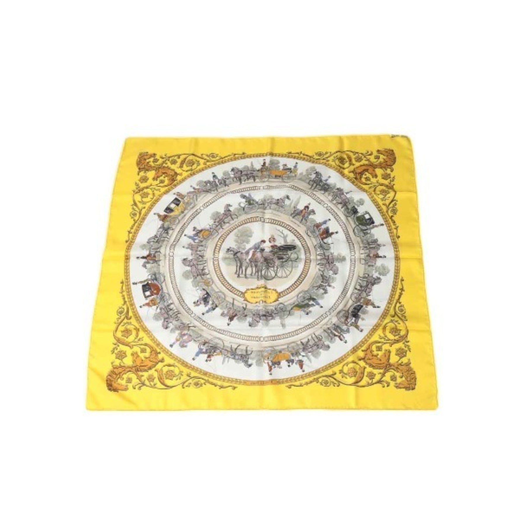 HERMES SPRINGS Scarf