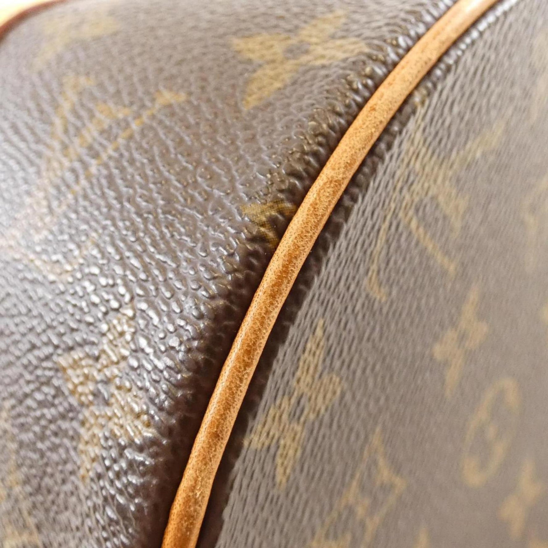 Louis Vuitton Monogram Papillon Handbag