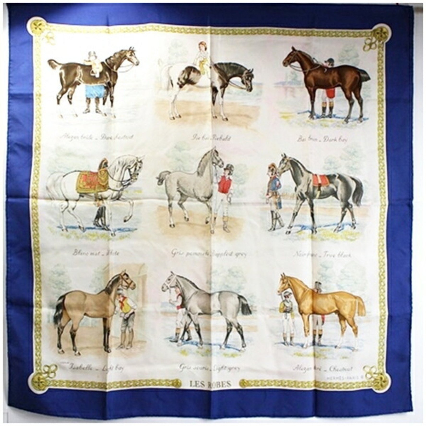 Hermes scarf muffler Carre 90 LES RIOBES horsehair color ladies