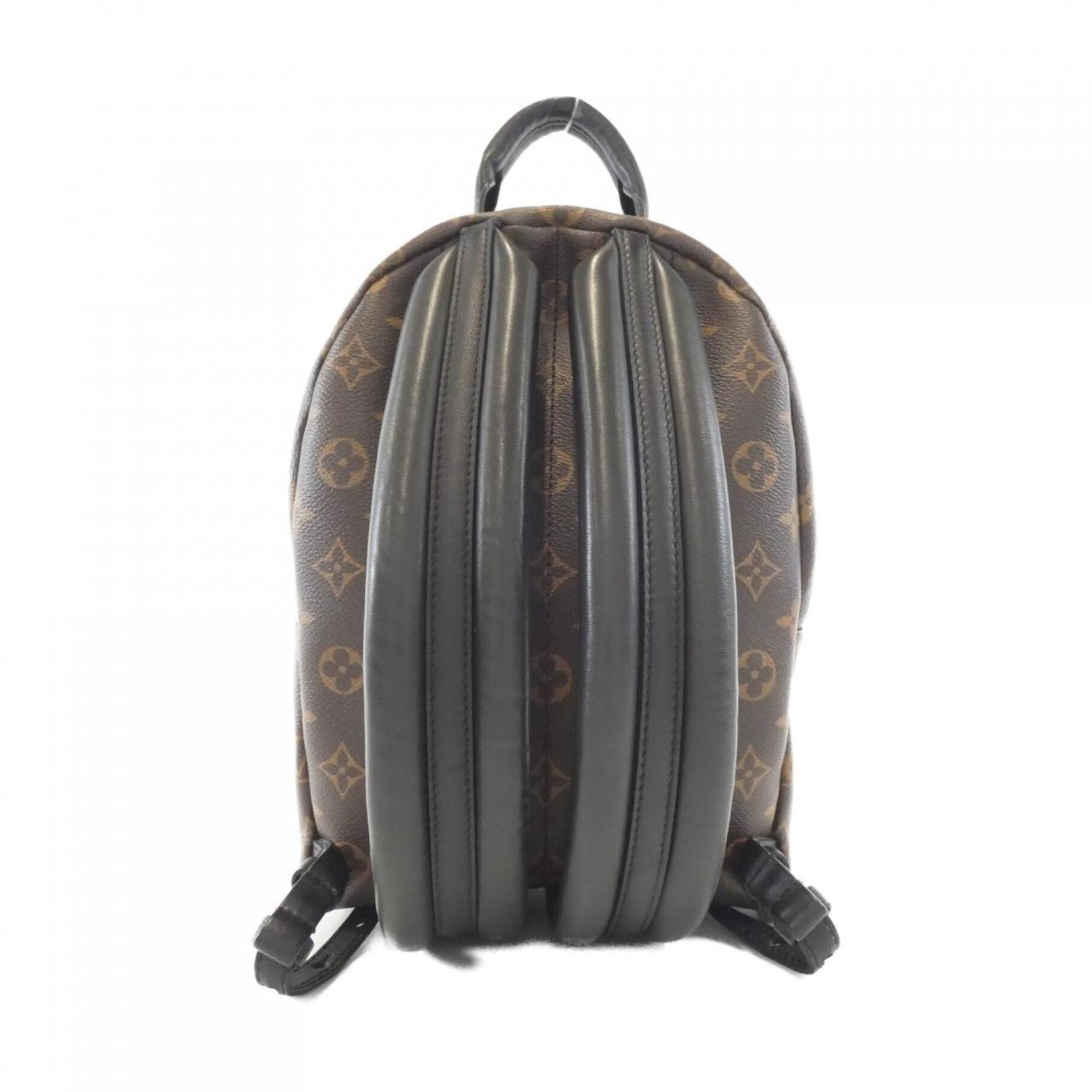 Louis Vuitton Monogram Palm Springs Backpack PM
