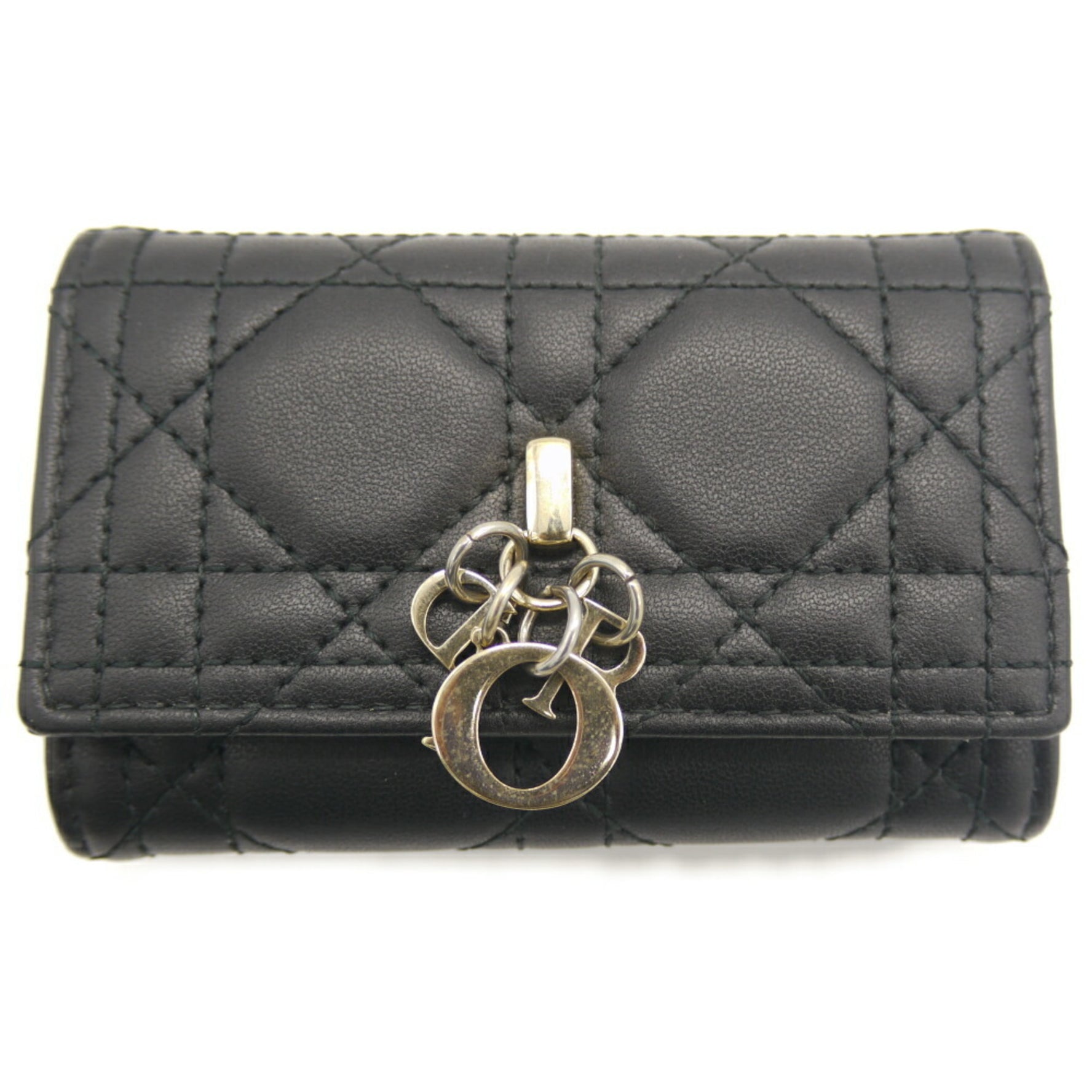 Christian Dior My Aster Key Case