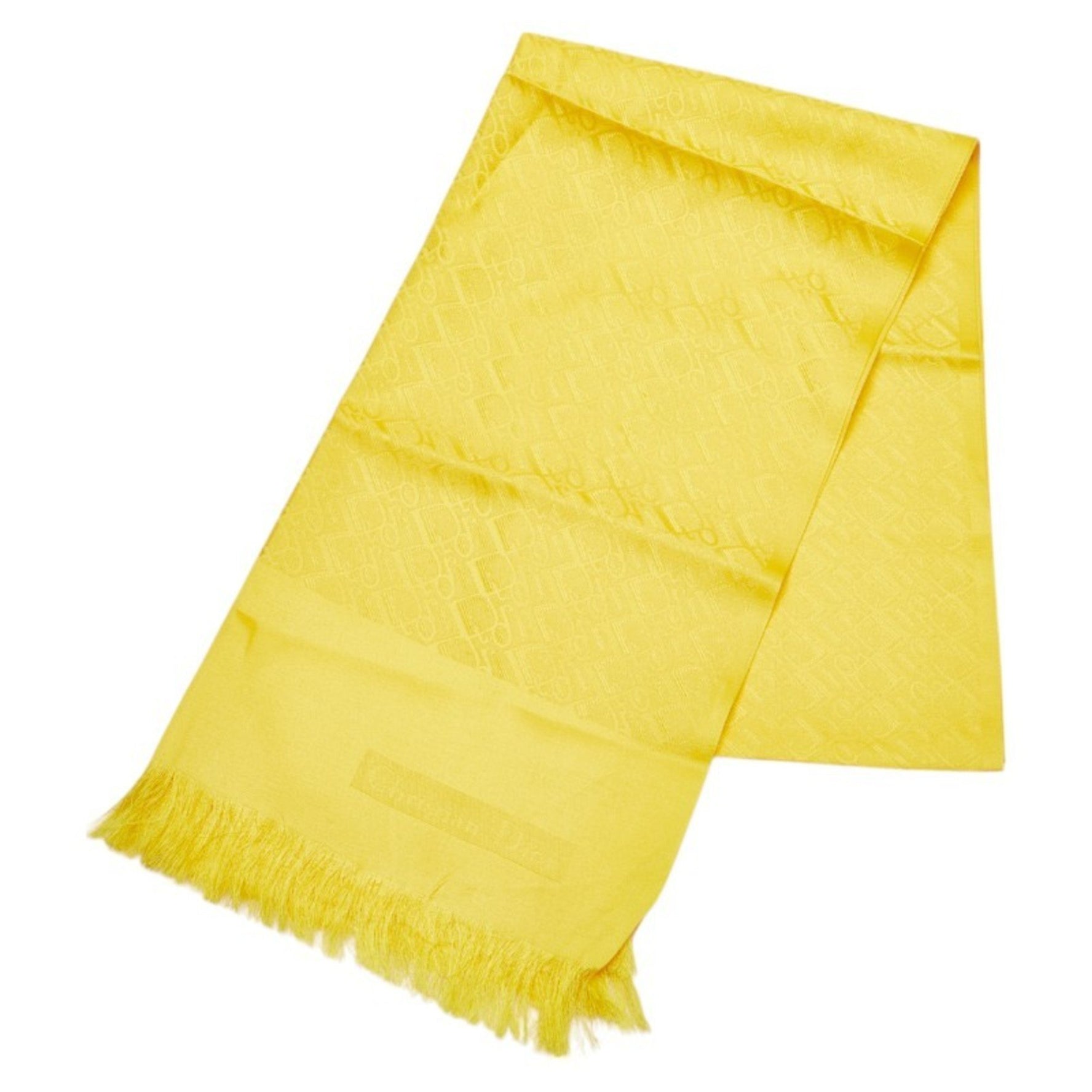 Christian Dior Trotter Stole, Silk