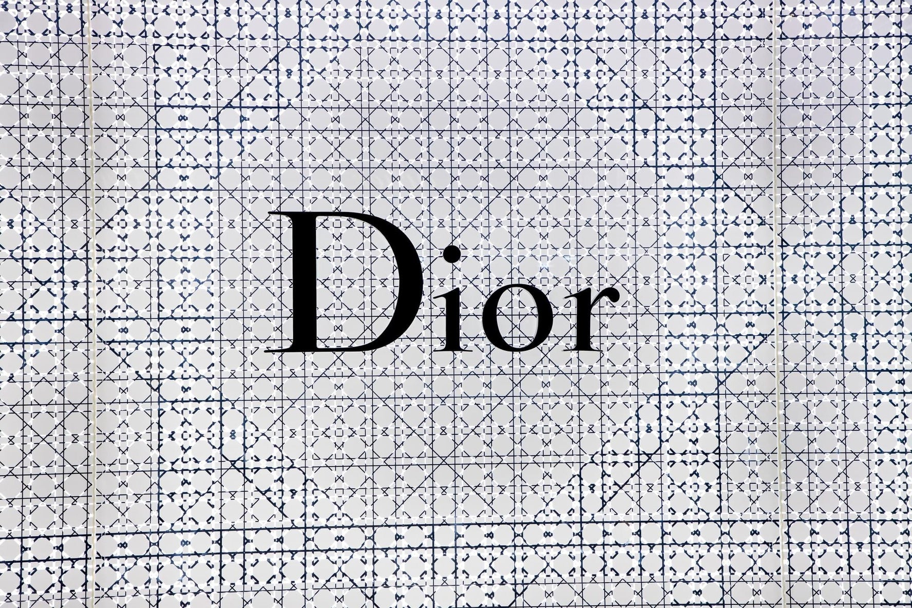 Christian Dior bag